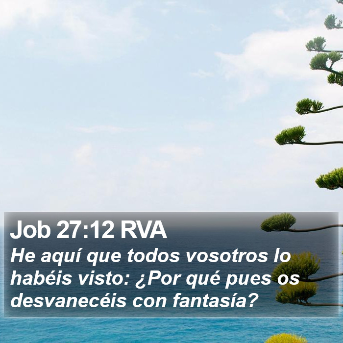 Job 27:12 RVA Bible Study