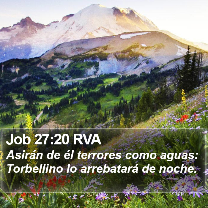 Job 27:20 RVA Bible Study