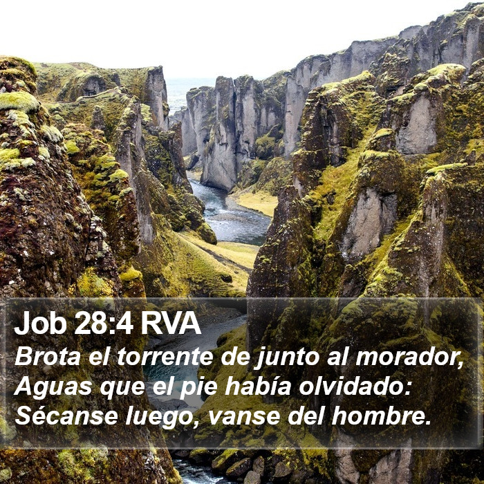 Job 28:4 RVA Bible Study