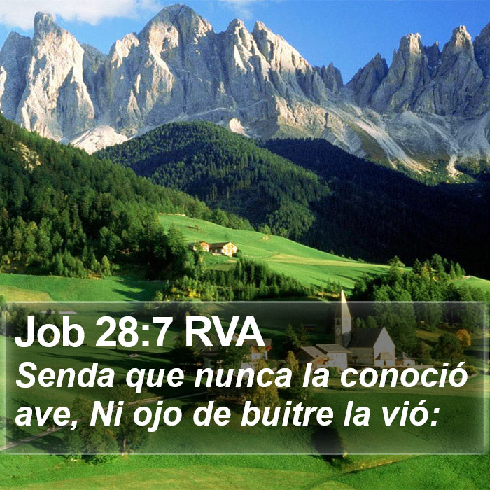 Job 28:7 RVA Bible Study