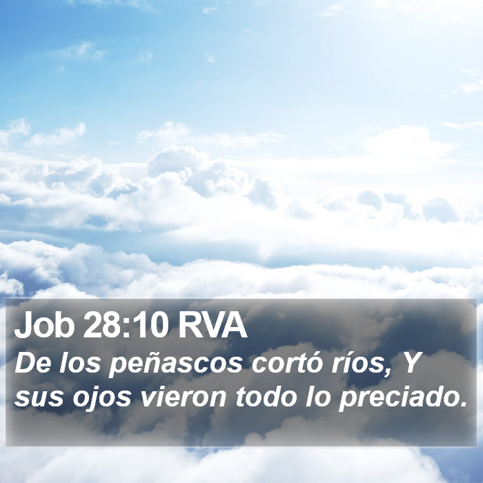 Job 28:10 RVA Bible Study