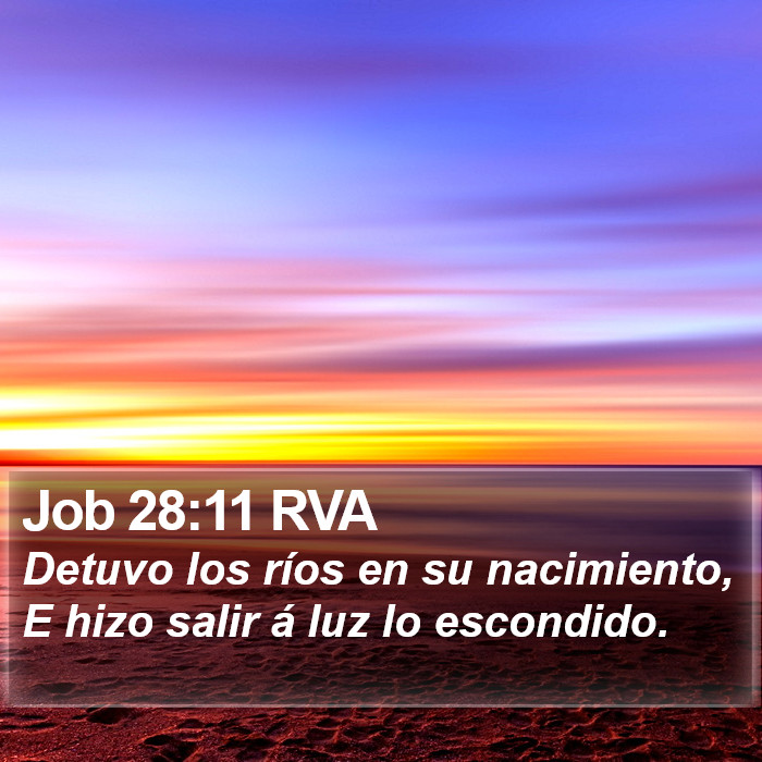 Job 28:11 RVA Bible Study