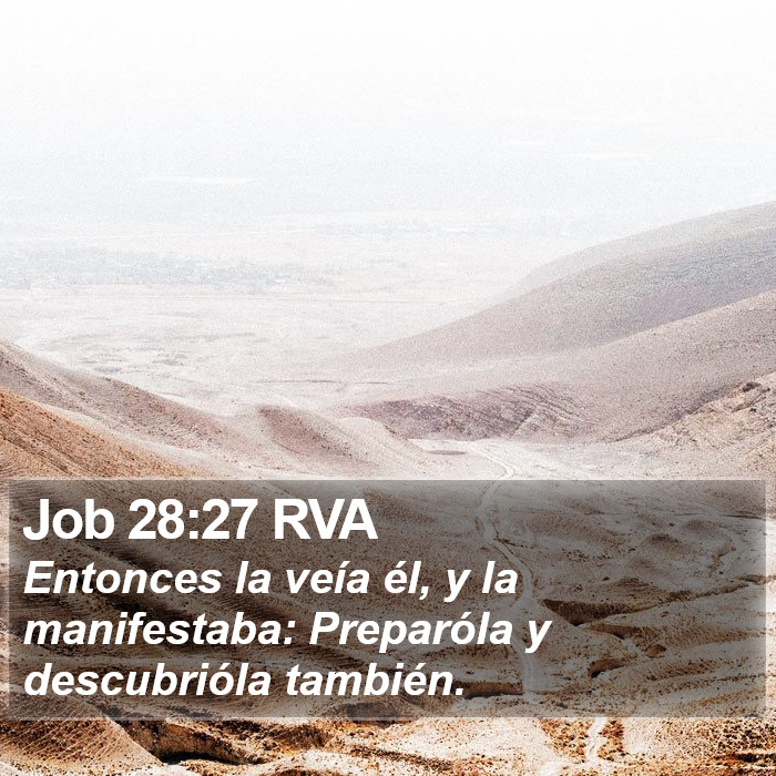 Job 28:27 RVA Bible Study