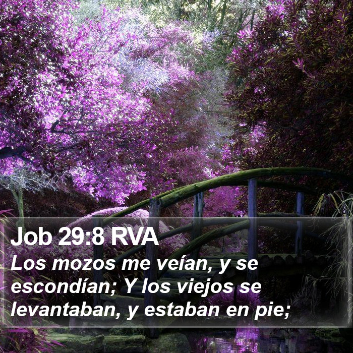 Job 29:8 RVA Bible Study