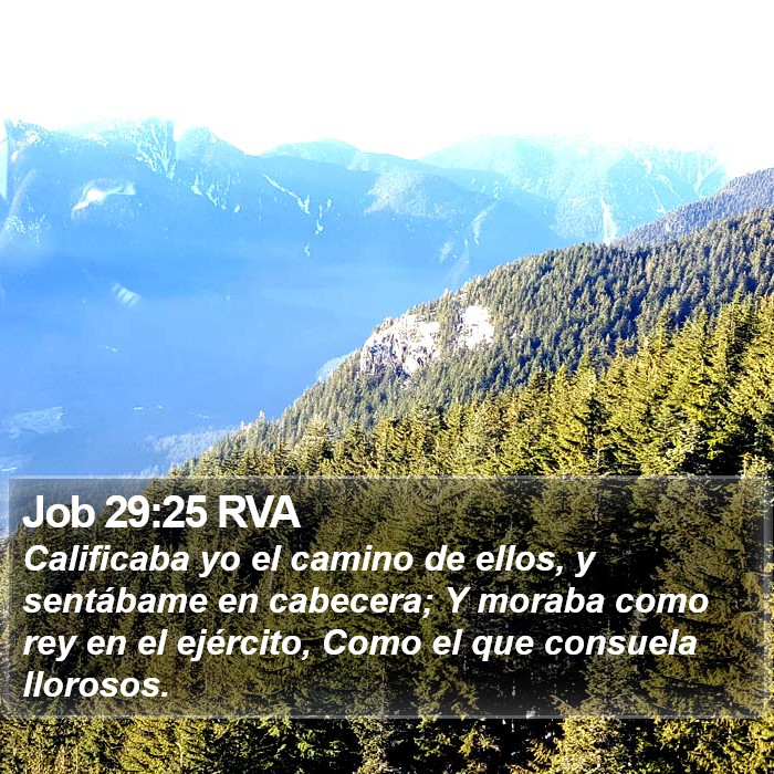 Job 29:25 RVA Bible Study