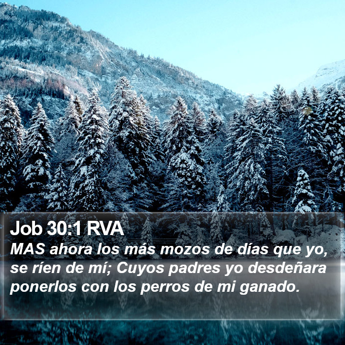 Job 30:1 RVA Bible Study