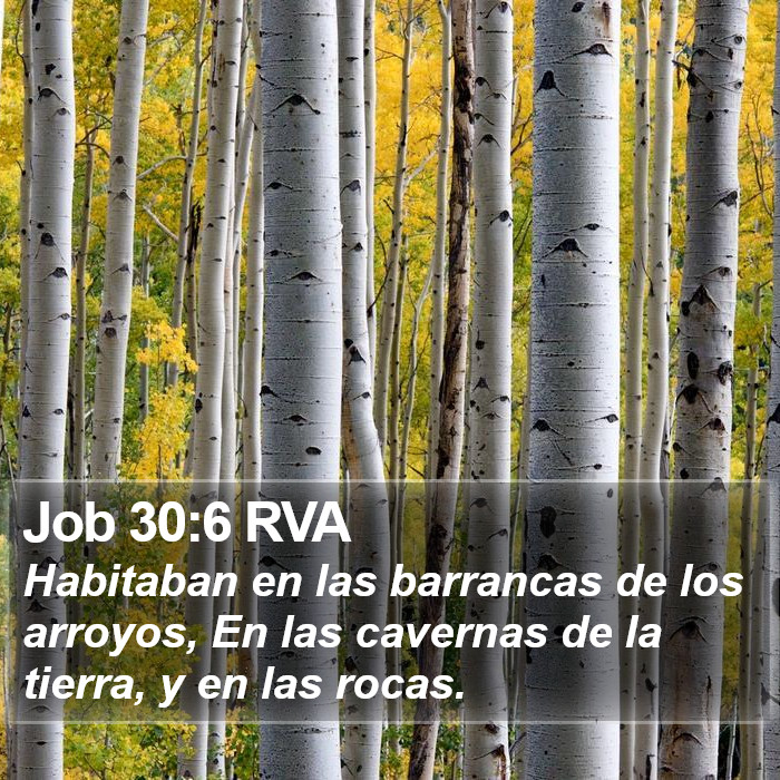 Job 30:6 RVA Bible Study