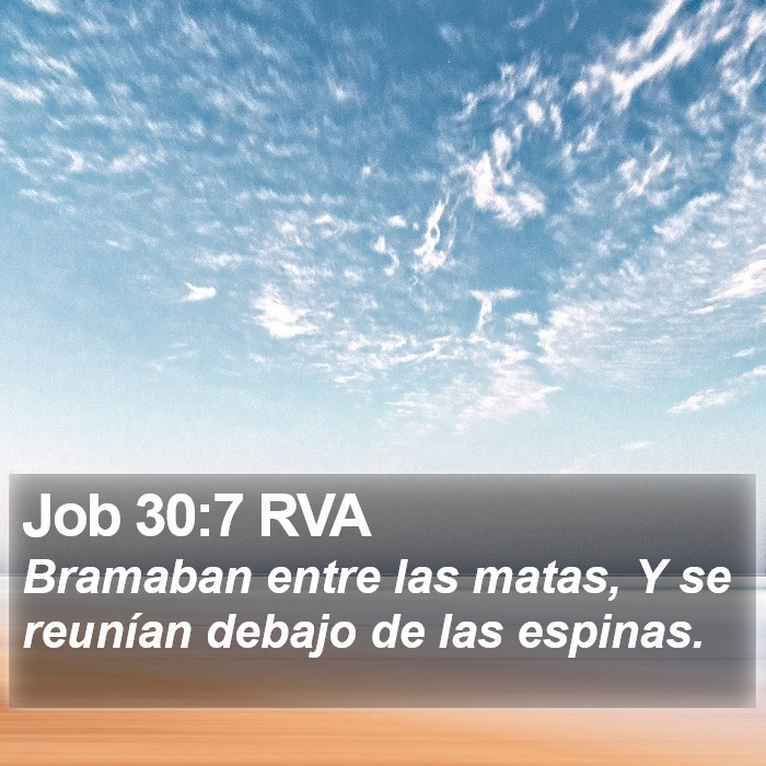 Job 30:7 RVA Bible Study