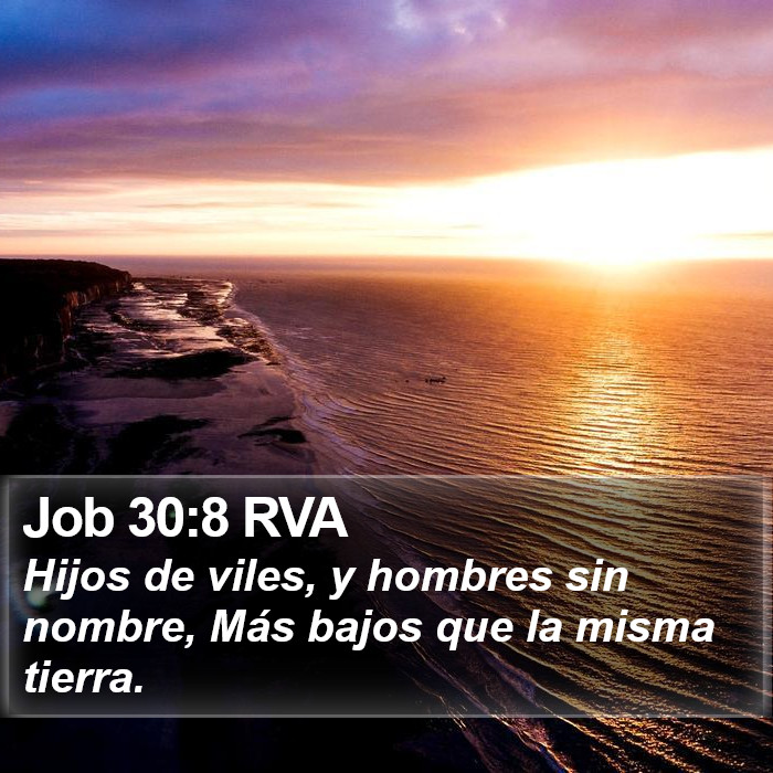 Job 30:8 RVA Bible Study