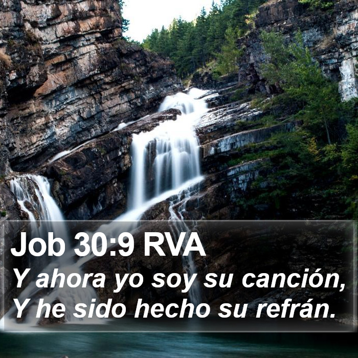 Job 30:9 RVA Bible Study