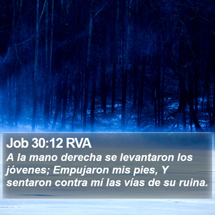 Job 30:12 RVA Bible Study