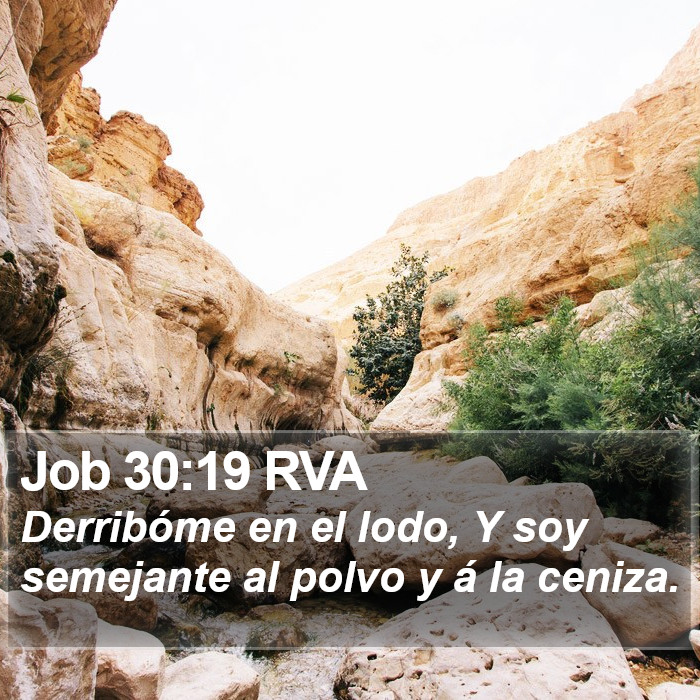 Job 30:19 RVA Bible Study