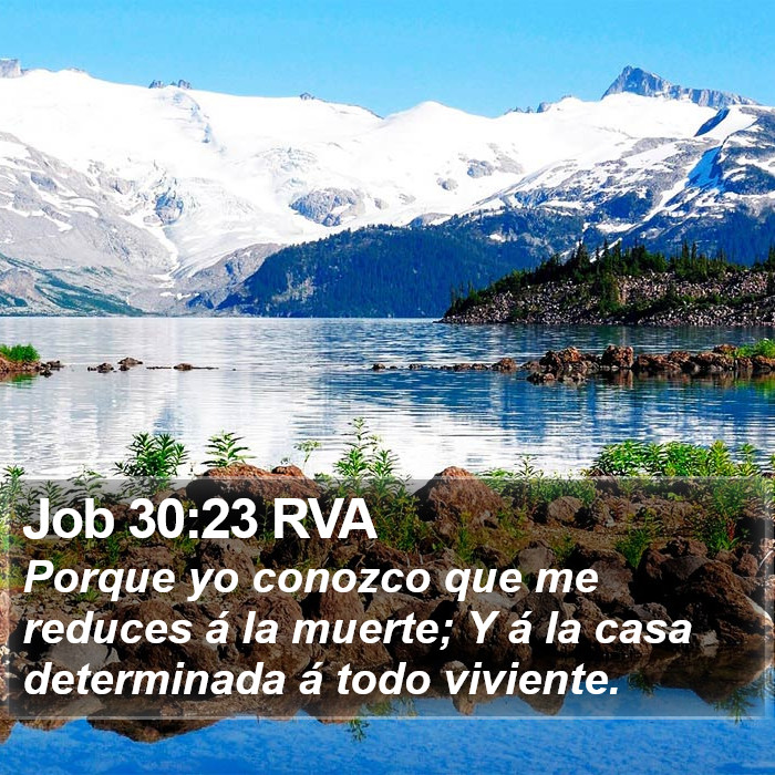 Job 30:23 RVA Bible Study