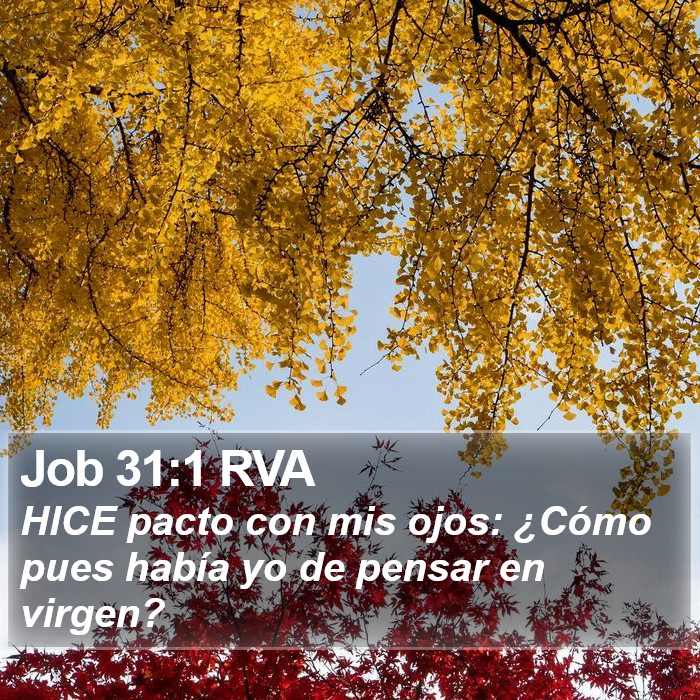 Job 31:1 RVA Bible Study