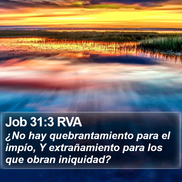 Job 31:3 RVA Bible Study