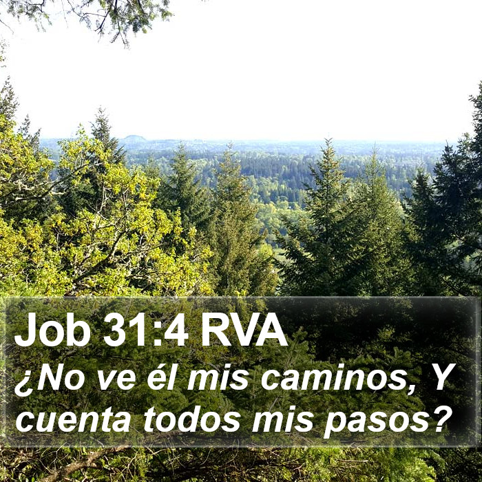 Job 31:4 RVA Bible Study