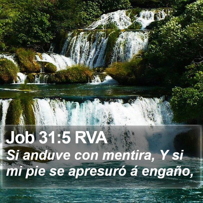 Job 31:5 RVA Bible Study