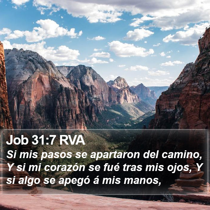 Job 31:7 RVA Bible Study