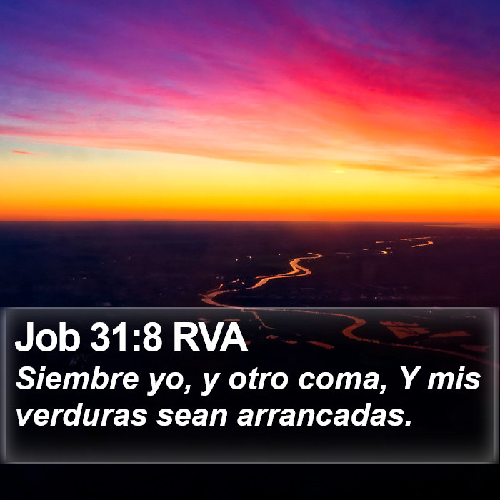 Job 31:8 RVA Bible Study