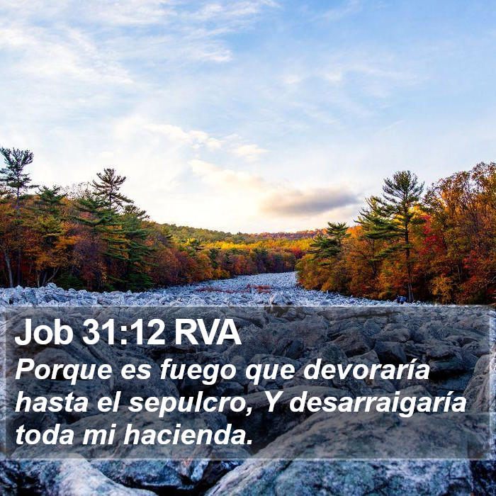 Job 31:12 RVA Bible Study