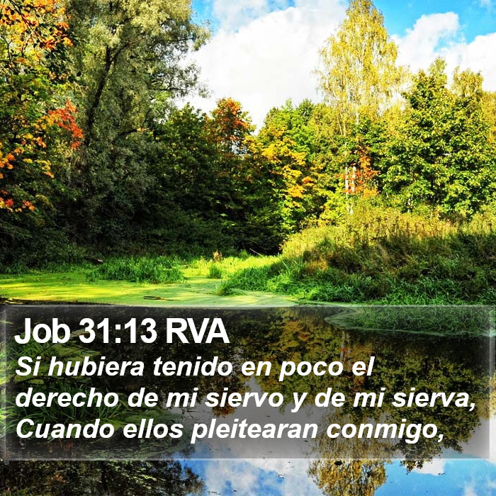 Job 31:13 RVA Bible Study