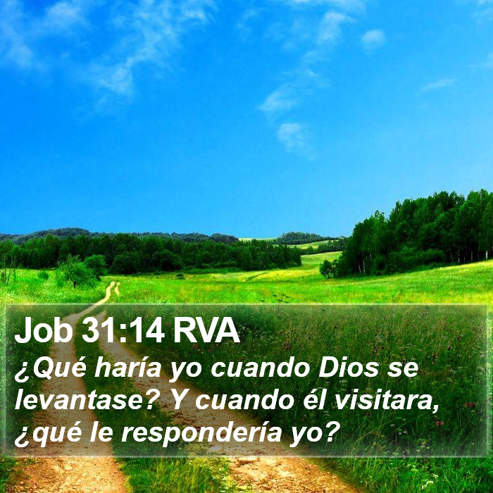 Job 31:14 RVA Bible Study