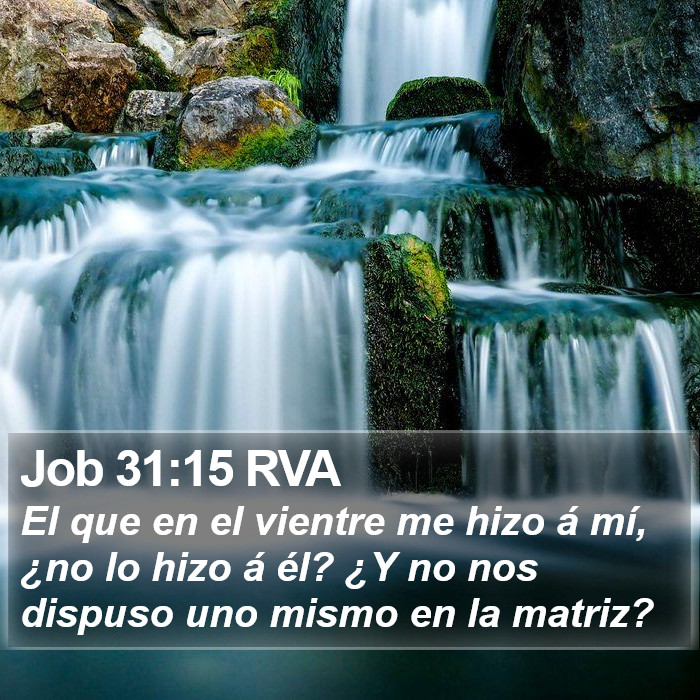 Job 31:15 RVA Bible Study