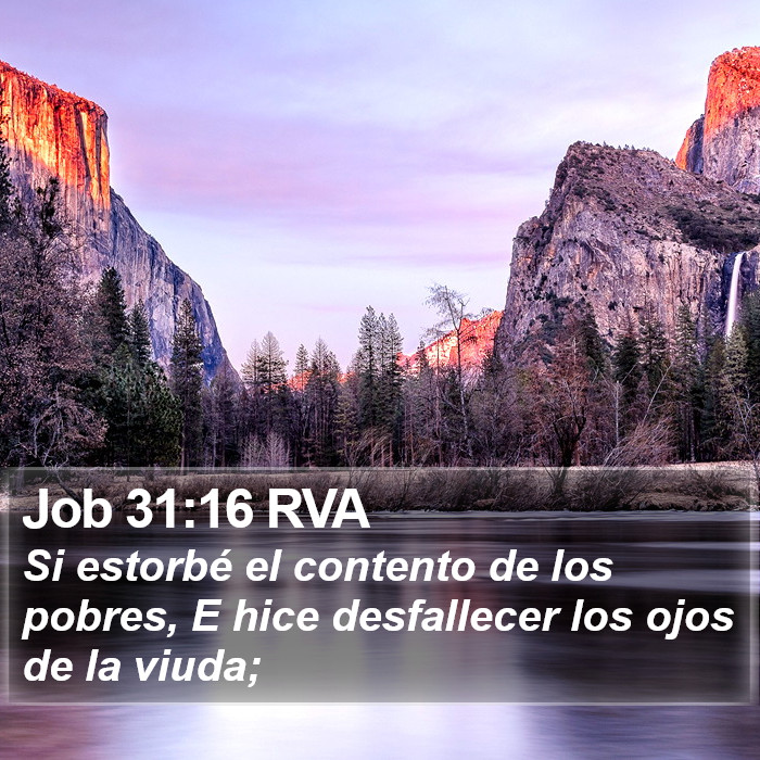 Job 31:16 RVA Bible Study