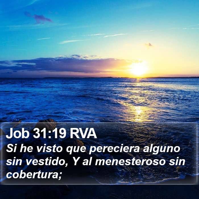 Job 31:19 RVA Bible Study