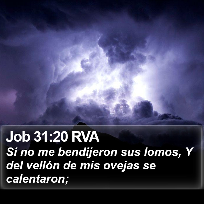 Job 31:20 RVA Bible Study