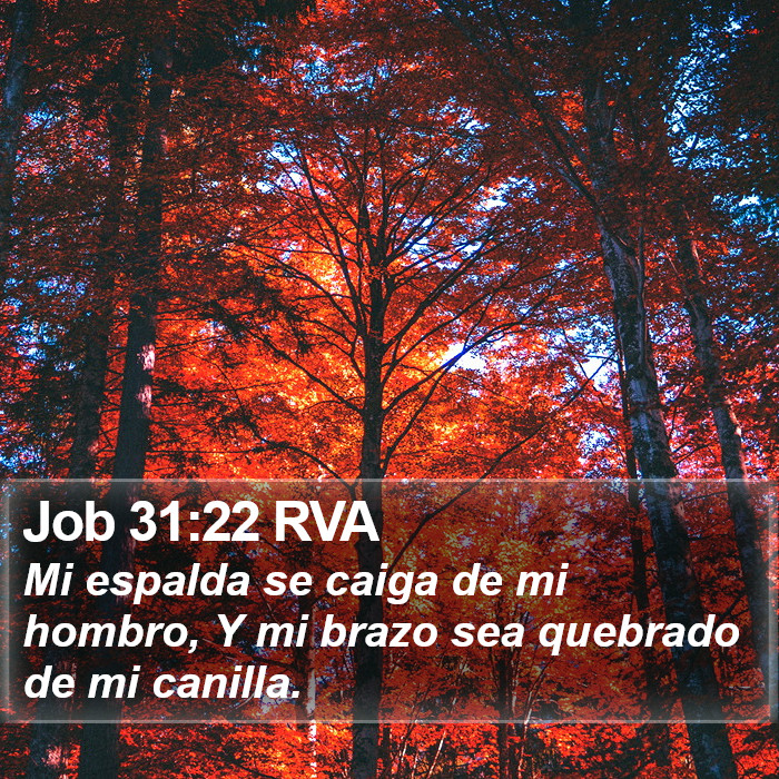 Job 31:22 RVA Bible Study