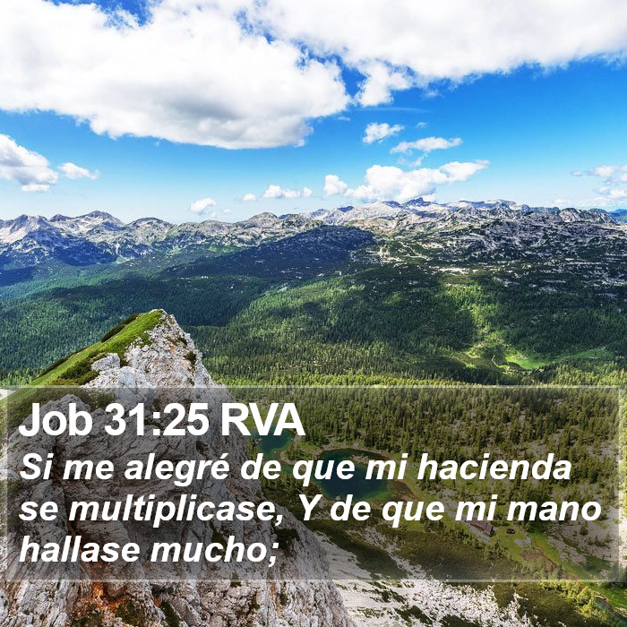 Job 31:25 RVA Bible Study