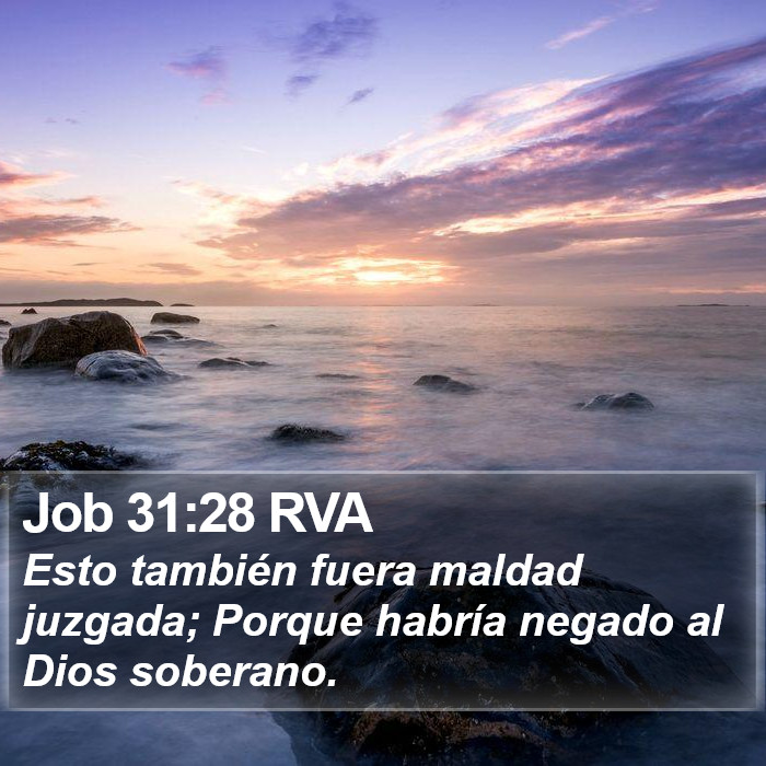 Job 31:28 RVA Bible Study