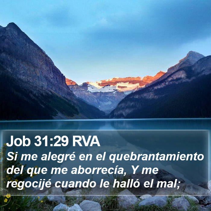 Job 31:29 RVA Bible Study