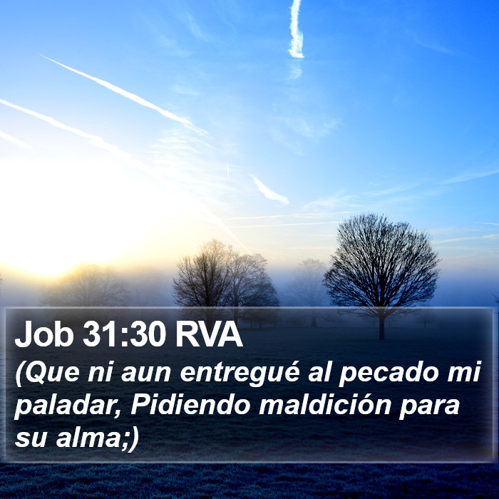 Job 31:30 RVA Bible Study