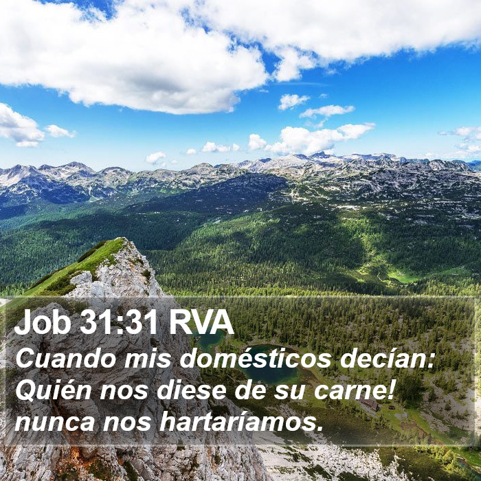 Job 31:31 RVA Bible Study