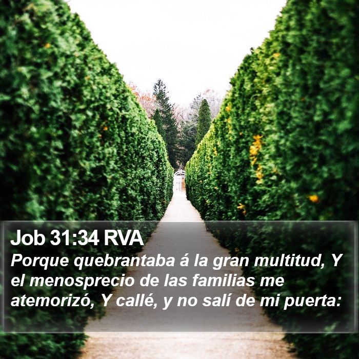 Job 31:34 RVA Bible Study