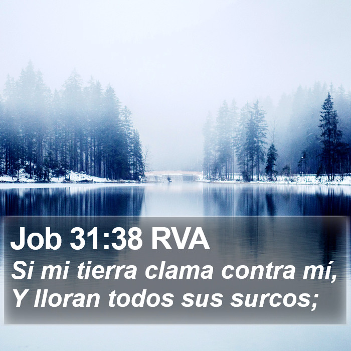 Job 31:38 RVA Bible Study