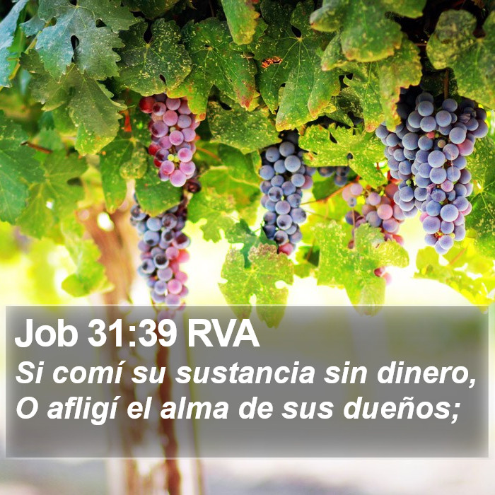 Job 31:39 RVA Bible Study