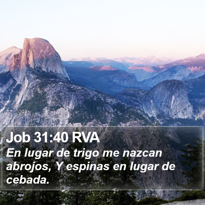 Job 31:40 RVA Bible Study