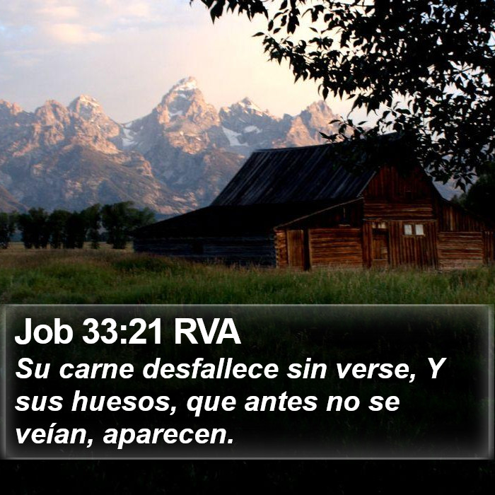 Job 33:21 RVA Bible Study