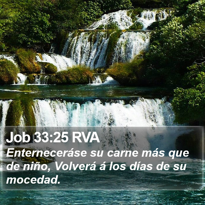 Job 33:25 RVA Bible Study