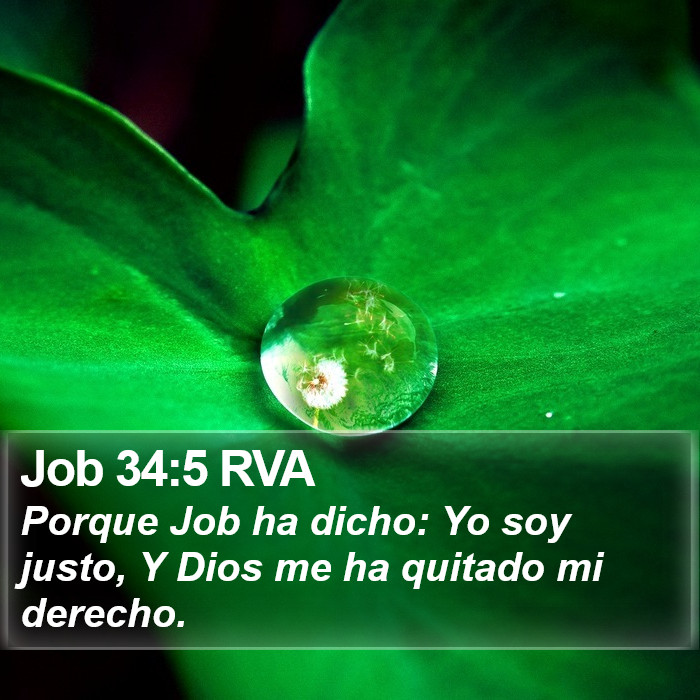 Job 34:5 RVA Bible Study