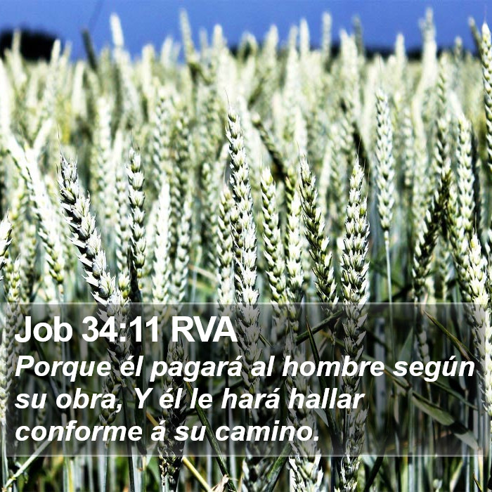 Job 34:11 RVA Bible Study