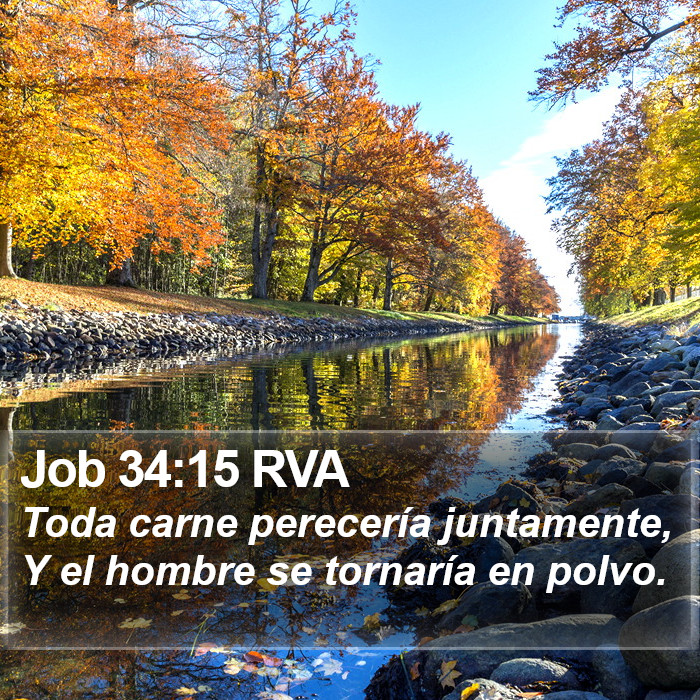 Job 34:15 RVA Bible Study