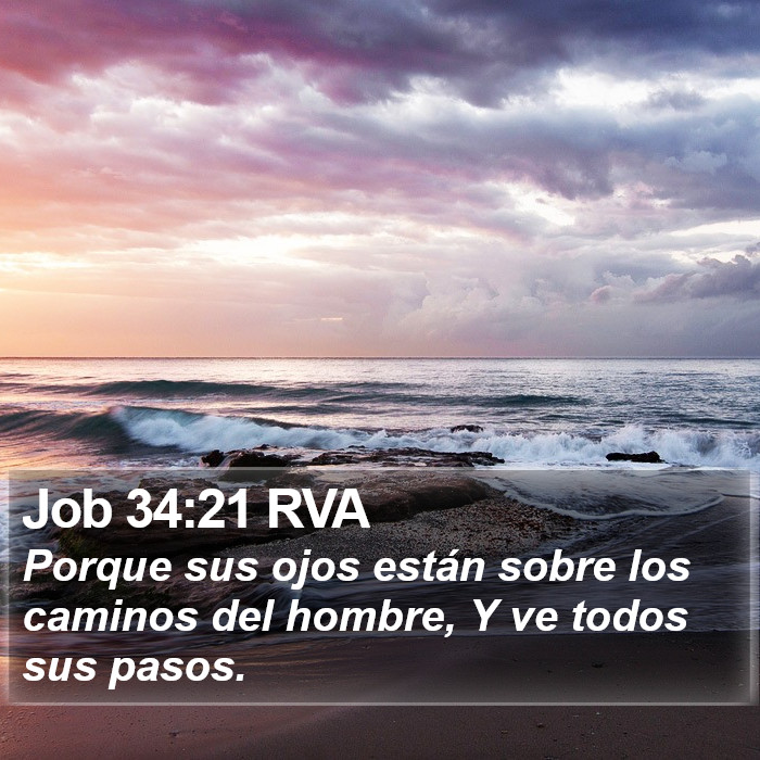 Job 34:21 RVA Bible Study