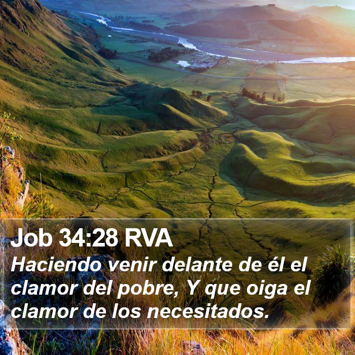 Job 34:28 RVA Bible Study