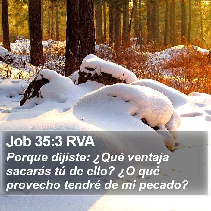 Job 35:3 RVA Bible Study