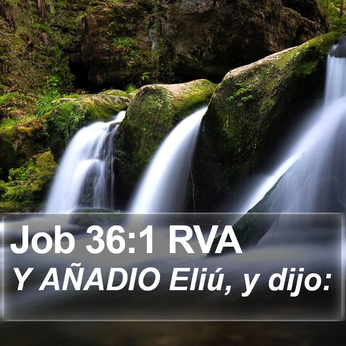 Job 36:1 RVA Bible Study