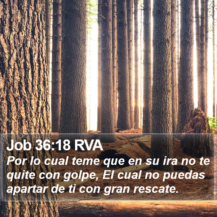 Job 36:18 RVA Bible Study